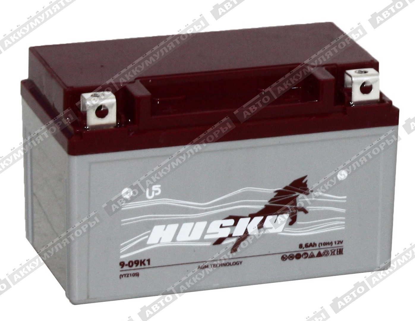 Husky 9-09K1 (CT 1210.1, YTZ10S)