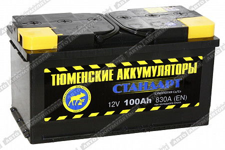 Автомобильный аккумулятор 6СТ-100.1L Standard - фото