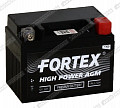 Fortex VRLA 1204 (YTX4L-BS)