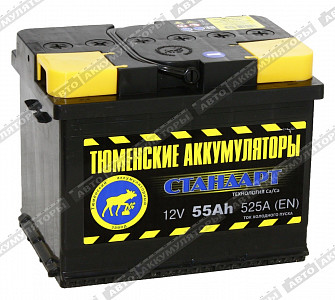 Автомобильный аккумулятор 6СТ-55.1L Standard - фото